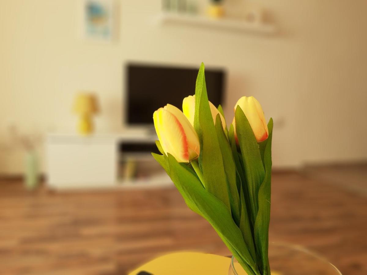 Főnix Family apartment a step from Széchenyi Square Pécs Esterno foto